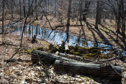 Wallpaper Mural nature pond Torontodigital.ca