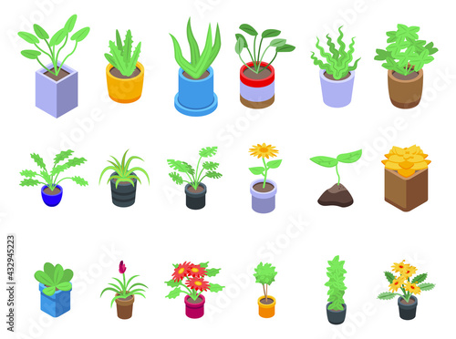Plants icons set. Isometric set of plants vector icons for web design isolated on white background