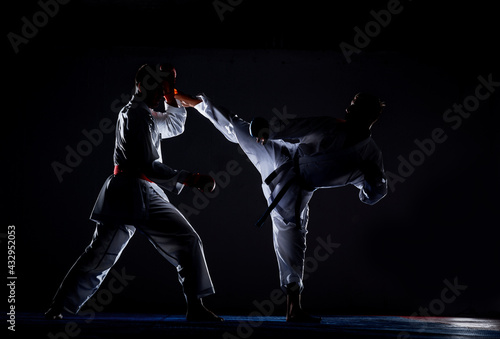 An image of a taekwondo martial arts master © qunica.com