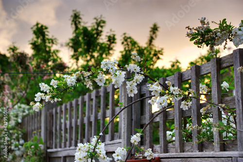 fence with flowers
