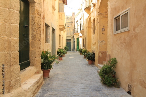 narrow street in the town © Thiago