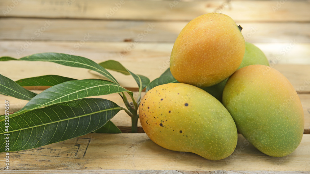 RIPE ORGANIC MANGOES, ON A WOODEN TABLE WITH PALLETS, IN AN OUTDOOR MANGO PRODUCTION FARM WITH SPACE FOR TEXT