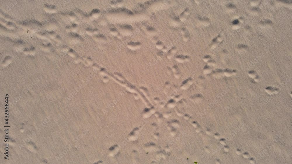 texture of sand texture of sand