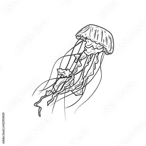 Sea jellyfish icon