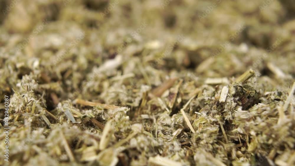 Dried crushed medicinal herb falls into a heap in slow motion. Macro. Dolly Shot. Herbal medicine concept Dried crushed medicinal herb falls into a heap in slow motion. Macro. Dolly Shot. Herbal medicine concept