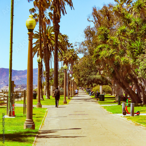 palm trees in the park © Stefon