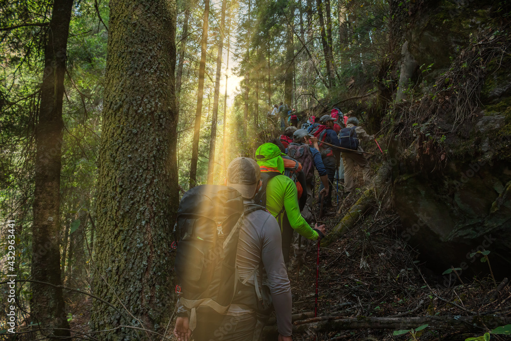 Naklejka premium Group of hikers with backpacks hiking through the forests of Iztaccihuatl in Mexico