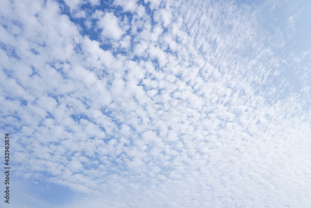 空(うろこ雲、10月、日本)/Autumn sky with cirrocumulus in Japan 空(うろこ雲、10月、日本)/Autumn sky with cirrocumulus in Japan