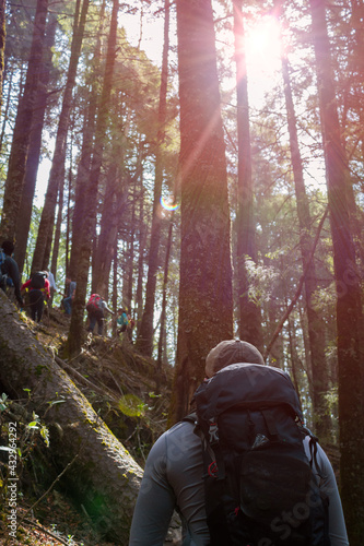 A group of hikers with backpacks hiking through the forests of Iztaccihuatl in Mexico
