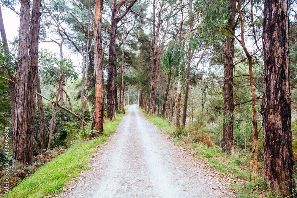 Lilydale to Warburton Rail Trail in Australia Lilydale to Warburton Rail Trail in Australia