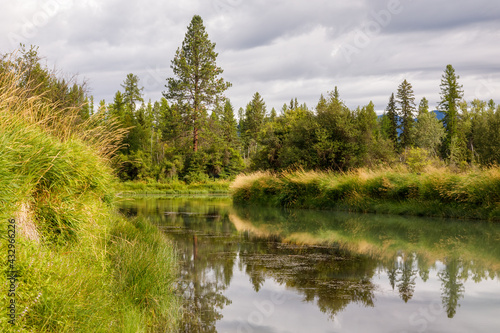 slow peaceful river scene on a pleasant afternoon, Whitefish River, Montana