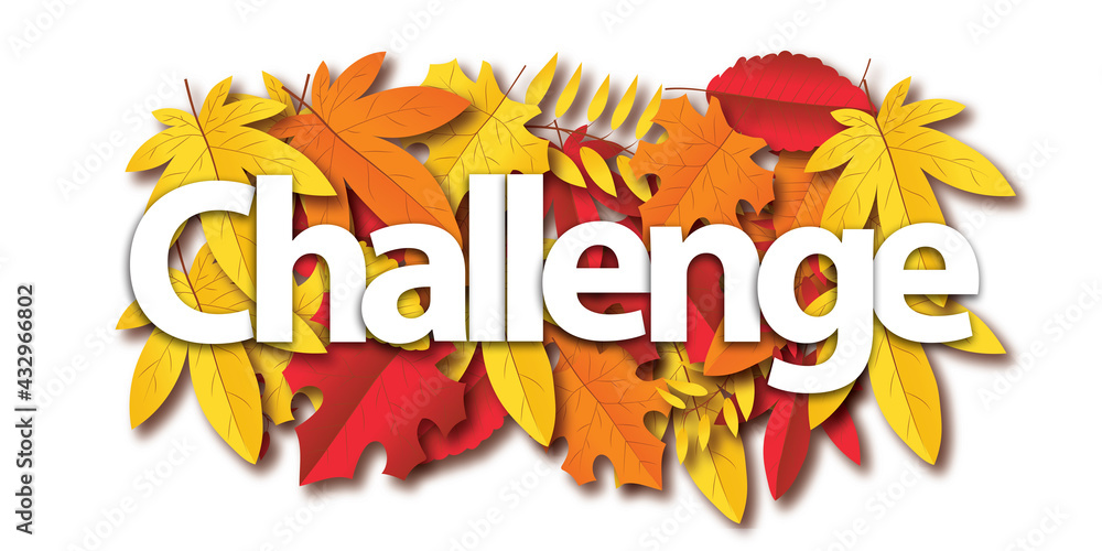 challenge challenge
