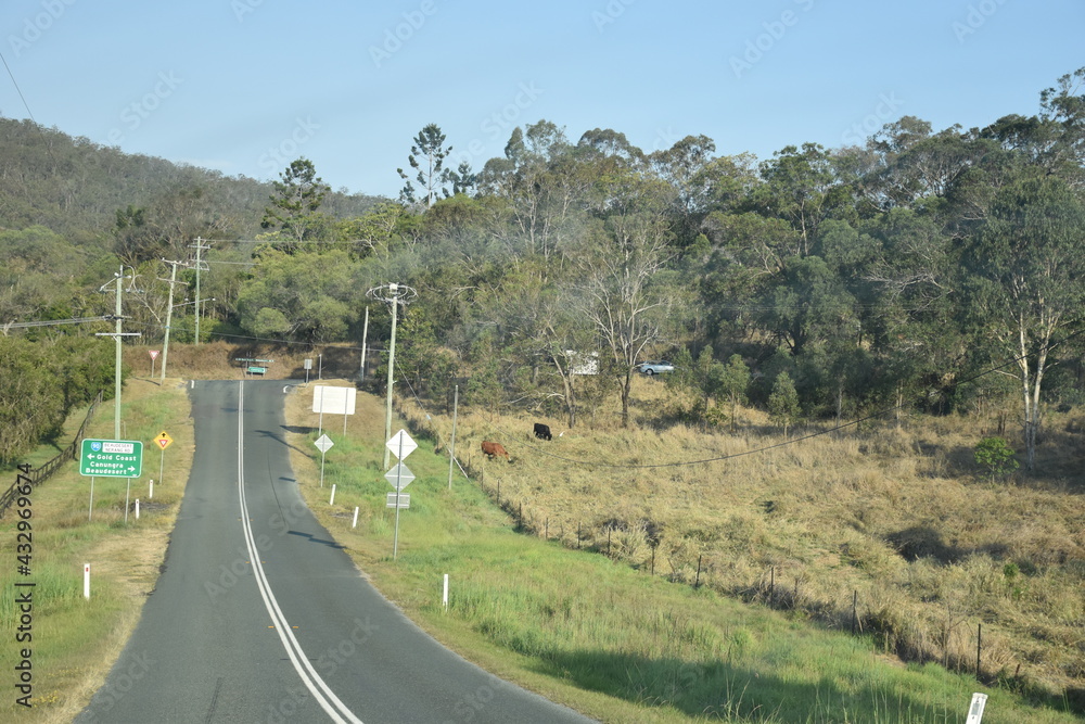 mountain road in the mountains