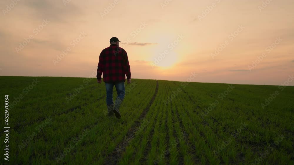 A man farmer goes on a rural road along a green wheat field at sunset. Way to success. Successful way in business. The concept of success and prosperity A man farmer goes on a rural road along a green wheat field at sunset. Way to success. Successful way in business. The concept of success and prosperity