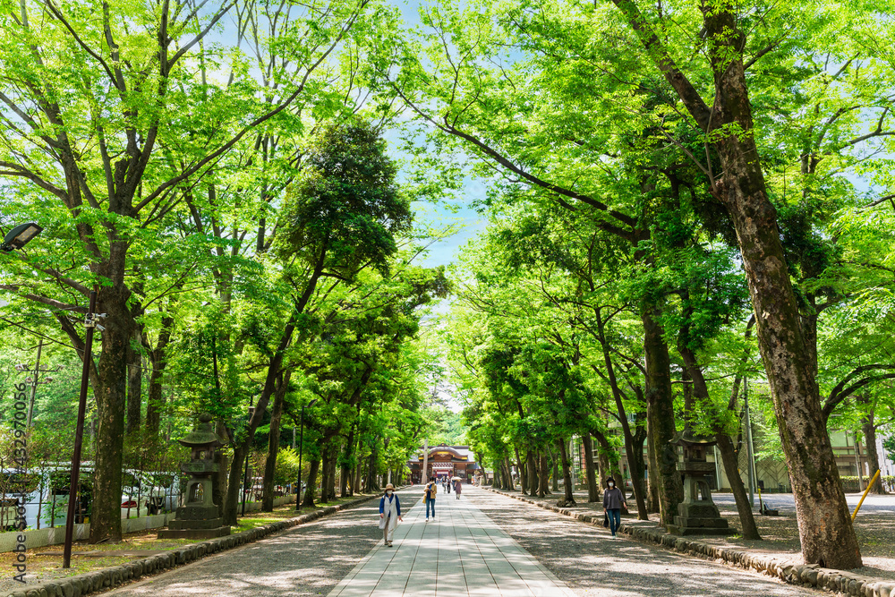 大國魂神社 参道