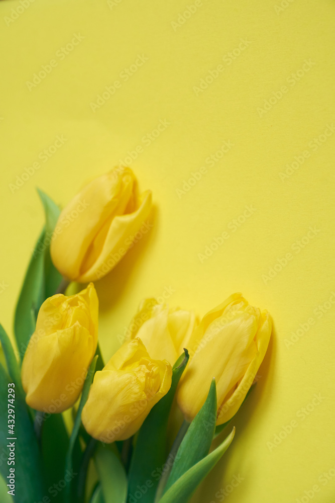 Five yellow fresh tulips on a yellow background. Concept of holiday, March 8, International womans day. Card with copy space. Five yellow fresh tulips on a yellow background. Concept of holiday, March 8, International womans day. Card with copy space.