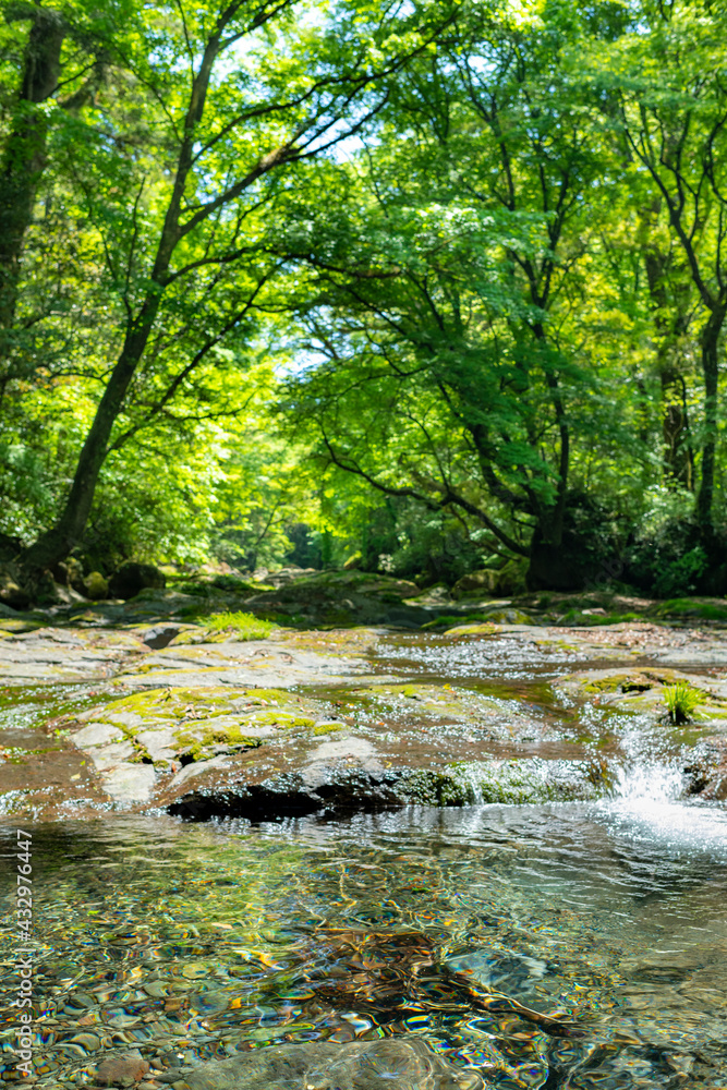 5月新緑の菊池渓谷【熊本県菊池市】