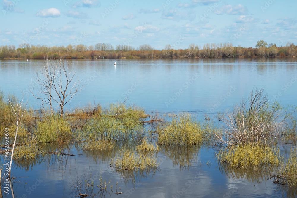 Spring flood of the Volga River and flooded trees, beautiful natural landscape.