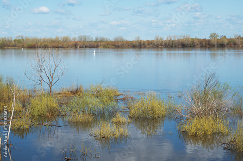 Spring flood of the Volga River and flooded trees, beautiful natural landscape.