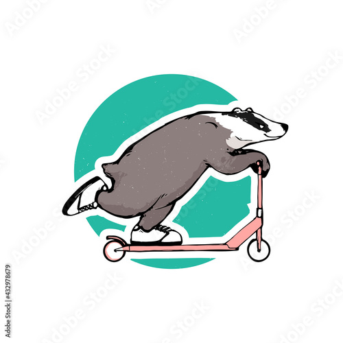 Cartoon badger on a kick scooter, vector art