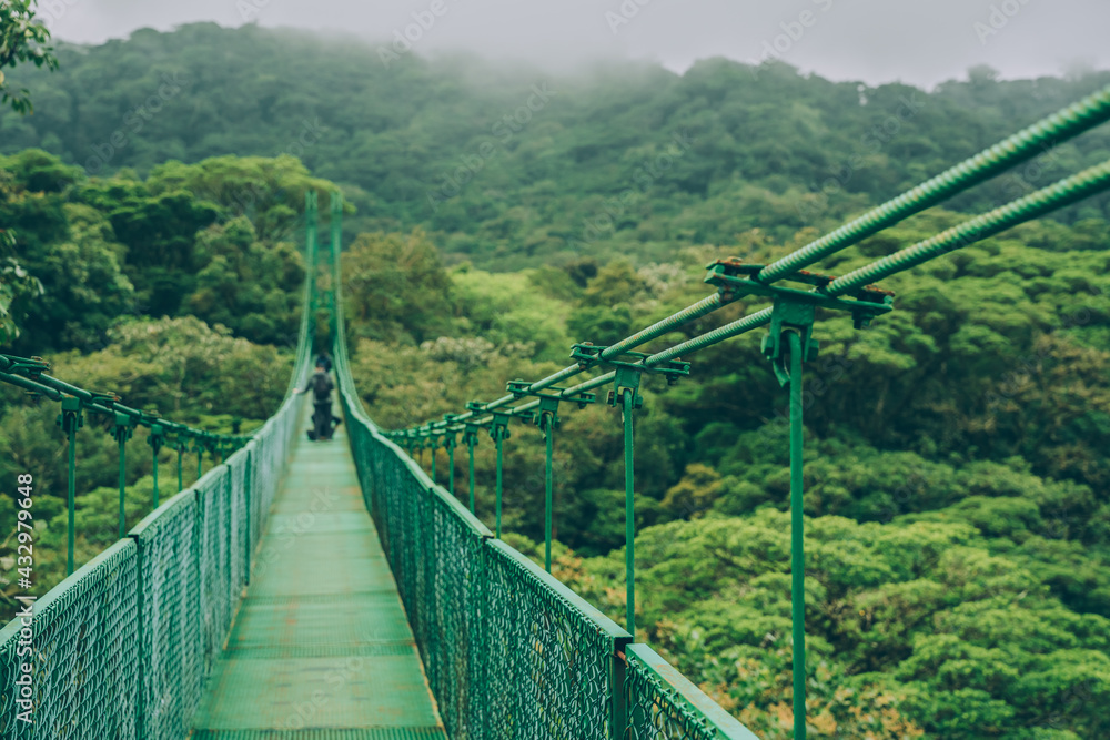 Costa Rica travel hiking destination in Central America. Forest of Parque Nacional Corcovado. Suspended bridge in rainforest.
