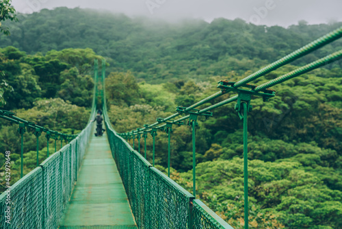 Fototapeta Naklejka Na Ścianę i Meble -  Costa Rica travel hiking destination in Central America. Forest of Parque Nacional Corcovado. Suspended bridge in rainforest.