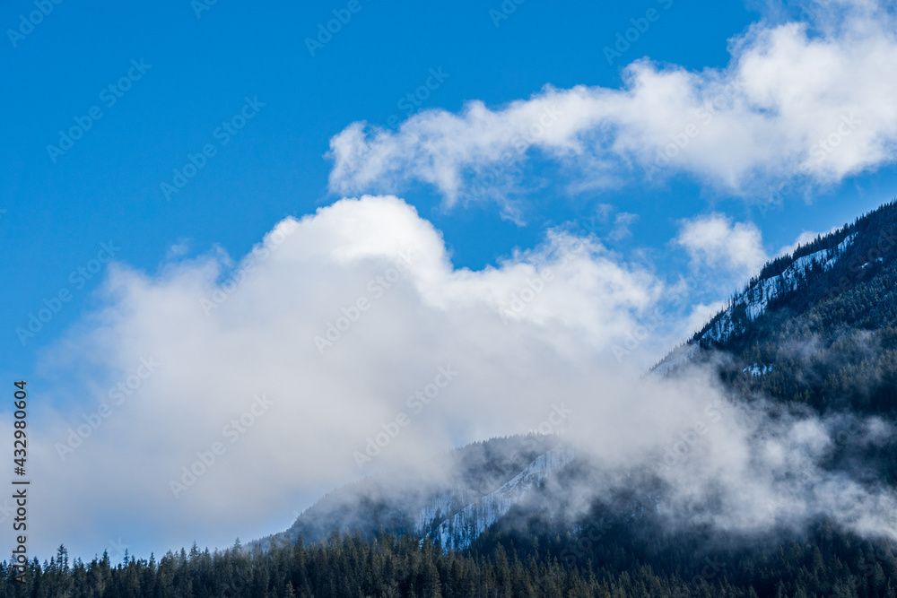 green forest on the mountain with blue sky and white clouds landscape green forest on the mountain with blue sky and white clouds landscape