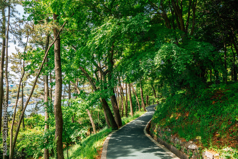 Jasan Park green forest road in Yeosu, Korea