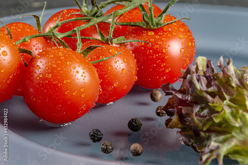 Tomatoes lettuce and pepper on a gray plate photo