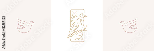 Bird on branch and flight dove in boho linear style vector illustrations set.