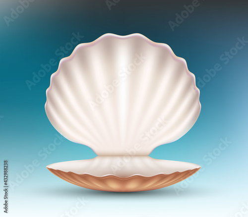 Open empty seashell. Vector mockup