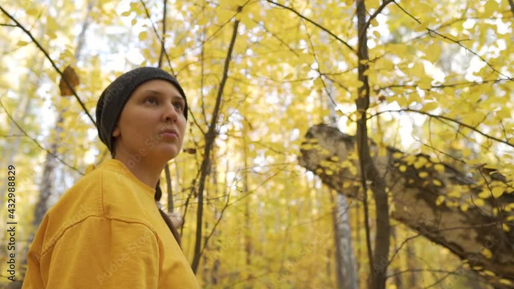 A Pensive Woman Stands under Falling Autumn and Gentle Leaves. Portrait of a Woman in a Yellow Autumn Forest, Yellow Leaves Slowly Falling, Sunny Autumn Day A Pensive Woman Stands under Falling Autumn and Gentle Leaves. Portrait of a Woman in a Yellow Autumn Forest, Yellow Leaves Slowly Falling, Sunny Autumn Day