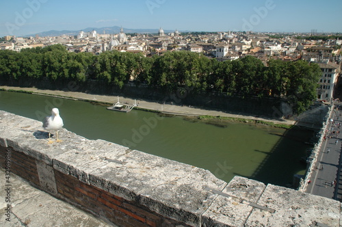 성천사성 다리 위의 갈매기, Seagulls on the bridge of the Castel Sant'Angelo photo