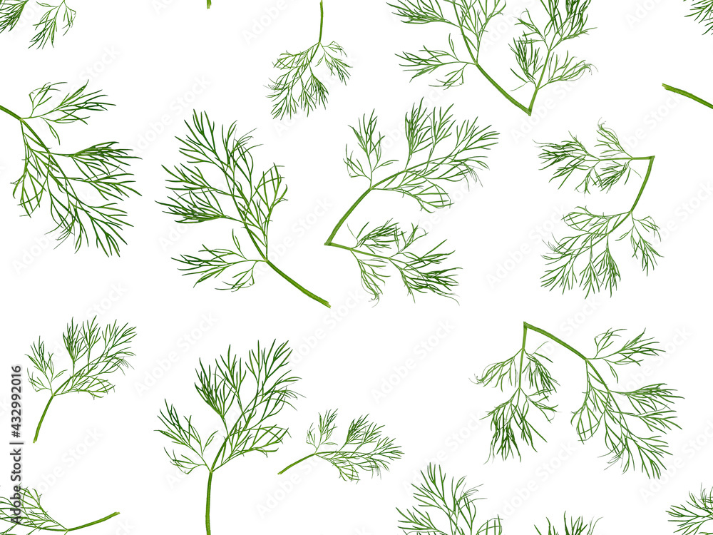 Naklejka premium Seamless pattern on white background made of raw green dill leaves used as herb or spice for flavouring or seasoning food, for garnishing and topping full of vitamins. Suitable for healthy eating