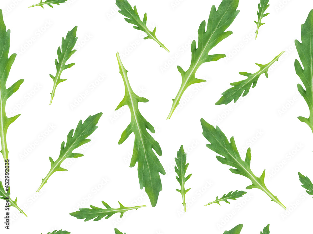 Seamless pattern made of organic green arugula or rocket leaf edible annual plant used in salads for its fresh, tart, bitter, and peppery flavor rich of vitamins and minerals on white background