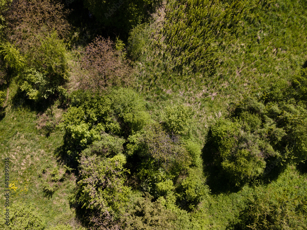 aerial drone flight photo of green hills, meadows and fresh forest in Lower Austria at the edge of Vienna Woods on a sunny day