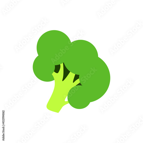 Green broccoli isolated on white background vector icon