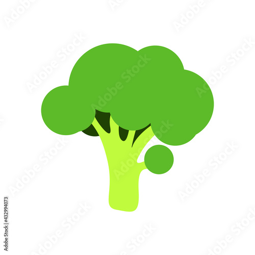 Green broccoli isolated on white background vector icon