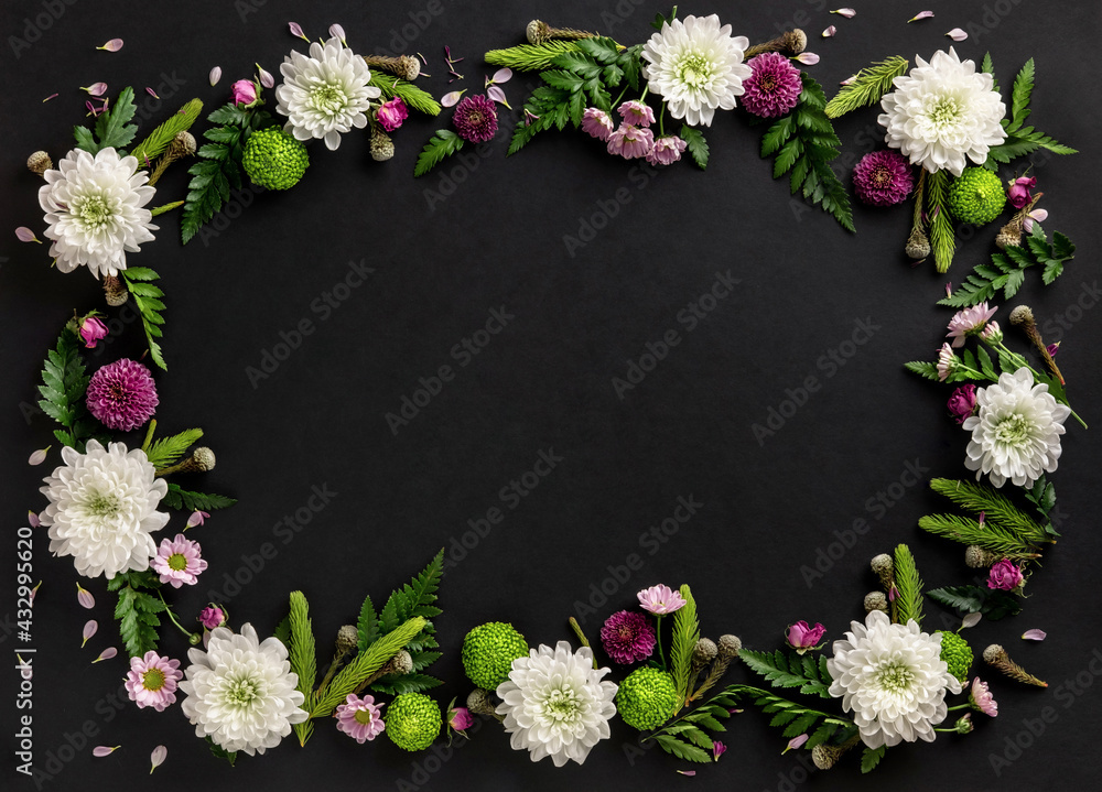 Frame made of colorful flowers chrysanthemum isolated on black background. Flowers composition. Summer wreath of chrysanthemum flowers. Frame made of colorful flowers chrysanthemum isolated on black background. Flowers composition. Summer wreath of chrysanthemum flowers.