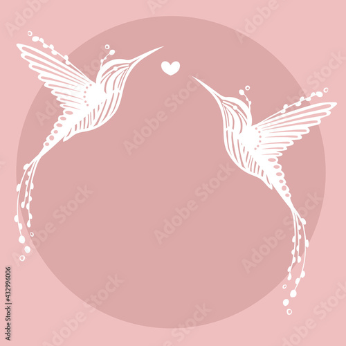 Vector colibri, hummingbird illustration, print. Romantic, elegant birds. 
