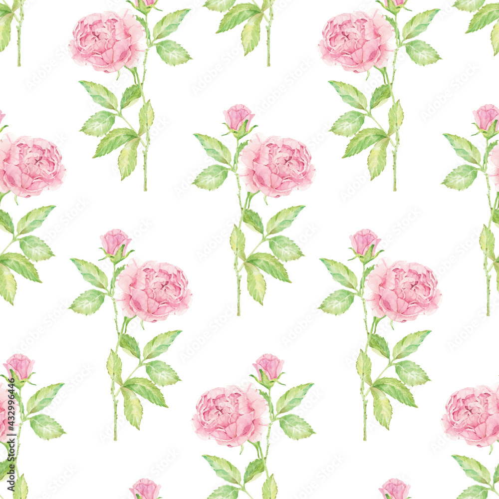 watercolor hand drawn pink english rose seamless pattern for paper or fabric eps10 vectors illustration