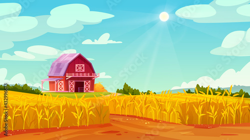 Farm barn house on yellow wheat field, summer scenery landscape with blue sky. Vector rural panorama of organic grains, rye or oats cereals, malts abundance fertility agriculture, forest on background