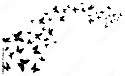 Flying butterfly. Black silhouette butterflies group. Cute wedding love, summer and spring symbol, tattoo graphic design isolated vector concept. Wildlife elements decoration, moths flight