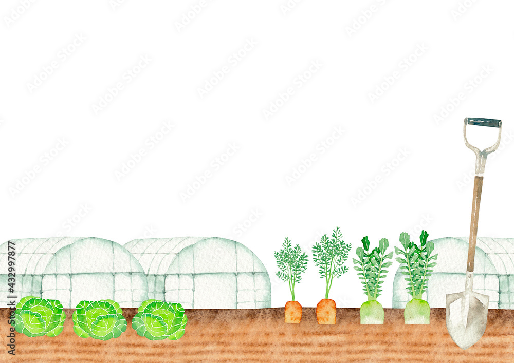 農業 畑 野菜 背景 フレーム 水彩 イラスト Stock Illustration Adobe Stock