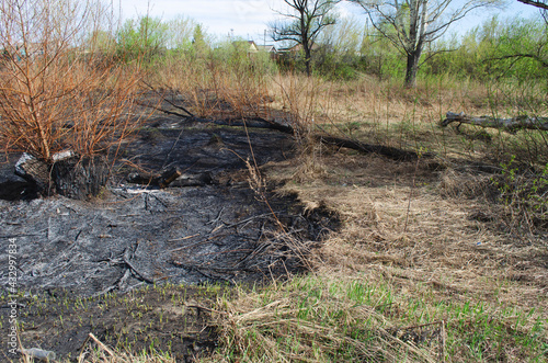 Wallpaper Mural people burning old dry grass Torontodigital.ca