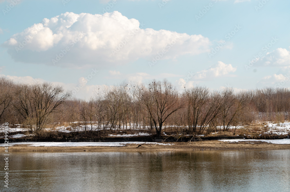 Lake in the park. Trees near the lake. Spring landscape Lake in the park. Trees near the lake. Spring landscape