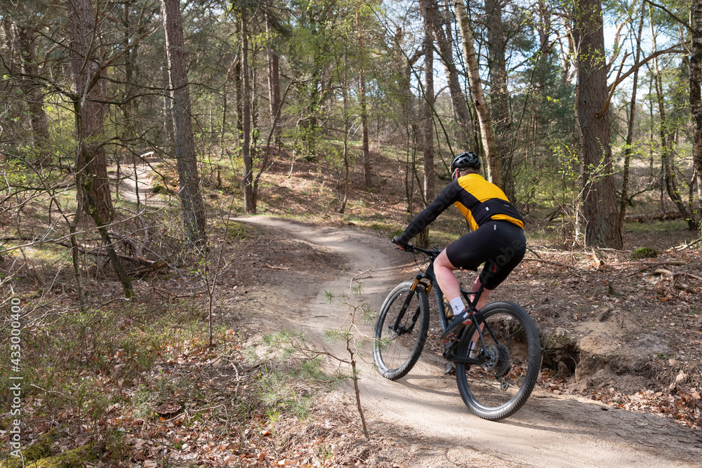 man on mountain bike in spring forest near utrecht in holland man on mountain bike in spring forest near utrecht in holland