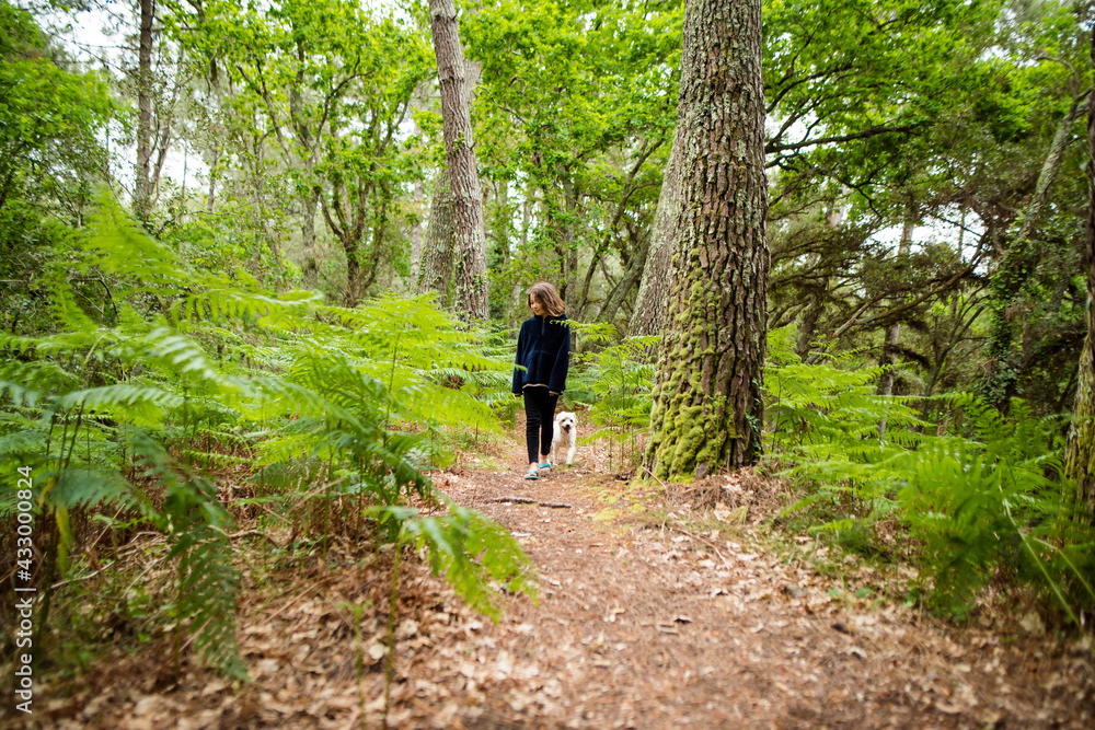 Fototapeta premium cute young girl walking in the forest with her dog