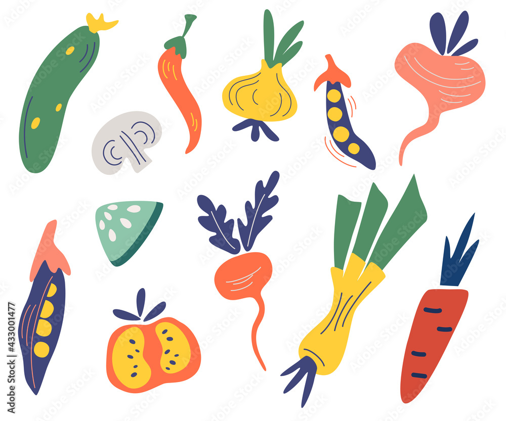 Fototapeta Vegetables set. Big Collection of colored hand drawn fresh vegetables. Big bundle of tasty vegetarian products, wholesome healthy food. Vegan, farm, organic, natural. Flat vector illustration.