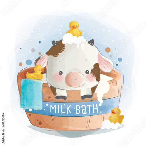 Baby Calf Taking a Milk Bath